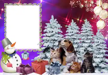 Photo effect from category Children's holidays № 178291