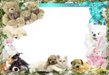 Photo effect from category My toys and pets № 158458