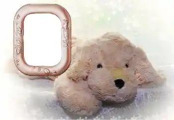 Photo effect from category My toys and pets № 169102