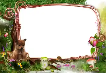 Photo effect from category On the nature № 142331