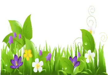 Photo effect from category On the nature № 151888