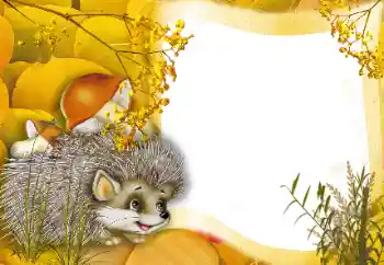 Photo effect from category On the nature № 166562