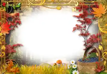 Photo effect from category On the nature № 192842