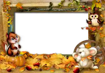 Photo effect from category On the nature № 42535