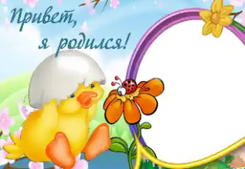 Photo effect from category The first year № 13982. An inscription on the frame: I was born! Photo effect from category The first year № 13982. An inscription on the frame: I was born!