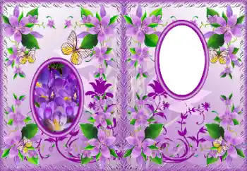 Photo effect from category DVD covers № 183322