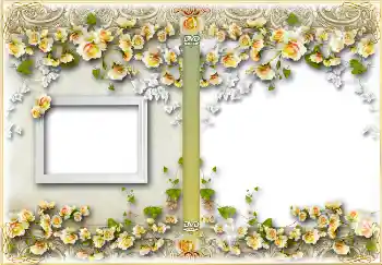 Photo effect from category DVD covers № 4457. An inscription on the frame: Birthday Photo effect from category DVD covers № 4457. An inscription on the frame: Birthday
