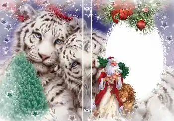Photo effect from category DVD covers № 4463. An inscription on the frame: New Year Photo effect from category DVD covers № 4463. An inscription on the frame: New Year