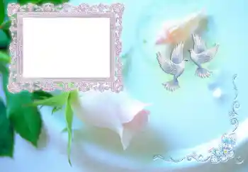 Photo effect from category Invitations № 4453. An inscription on the frame: Invitation on wedding Photo effect from category Invitations № 4453. An inscription on the frame: Invitation on wedding
