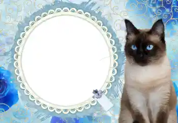 Photo effect from category Calendars № 117588. An inscription on the frame: 2026