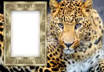 Photo effect from category Calendars № 131307. An inscription on the frame: 2026