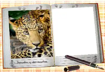 Photo effect from category Calendars № 131308. An inscription on the frame: 2026
