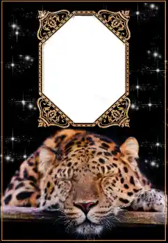 Photo effect from category Calendars № 176574. An inscription on the frame: 2026