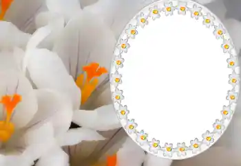 Photo effect from category Calendars № 80371. An inscription on the frame: 2026