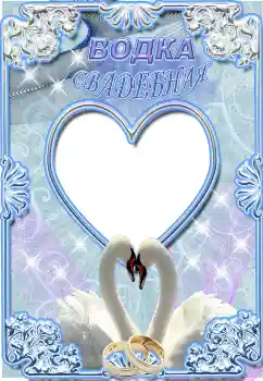 Photo effect from category Labels № 55425. An inscription on the frame: Vodka