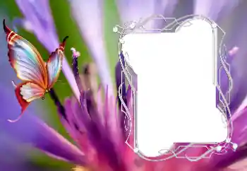 Photo effect from category Different № 176776 Photo effect from category Different № 176776
