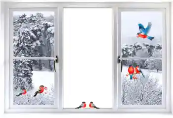 Photo effect from category Different № 177876 Photo effect from category Different № 177876