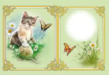 Photo effect from category Different № 182126 Photo effect from category Different № 182126