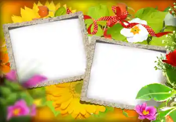 Photo effect from category Different № 184580