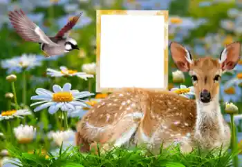Photo effect from category Different № 185878