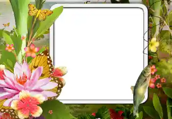 Photo effect from category Different № 188076