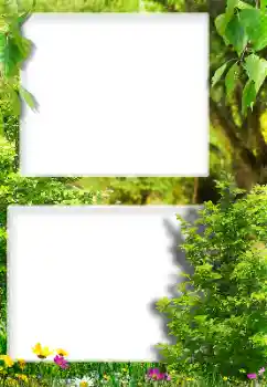 Photo effect from category Different № 189416