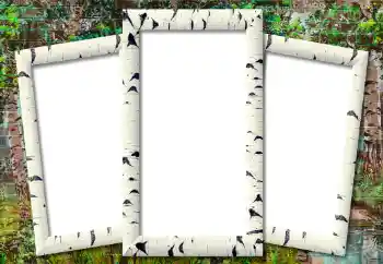 Photo effect from category Different № 195302
