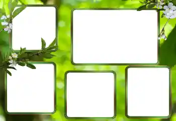 Photo effect from category Different № 205353