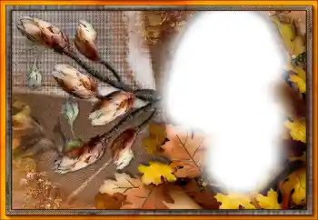 Photo effect from category Different № 205533