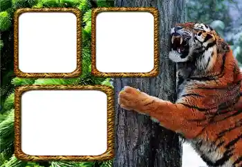 Photo effect from category Different № 205534