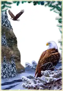 Photo effect from category Different № 205592
