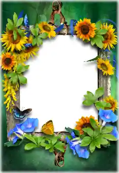 Photo effect from category Different № 205611