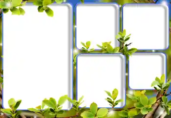 Photo effect from category Different № 205792
