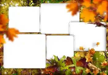 Photo effect from category Different № 205794