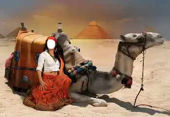 Photo effect from category For women № 38344 Photo effect from category For women № 38344