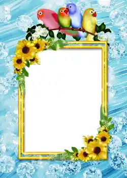 Photo effect from category Album number 4 № 860
