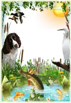 Photo effect from category Men's photo frames № 124265