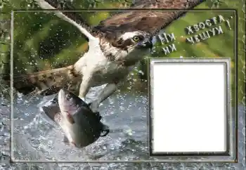 Photo effect from category Men's photo frames № 88119. An inscription on the frame: Fishing