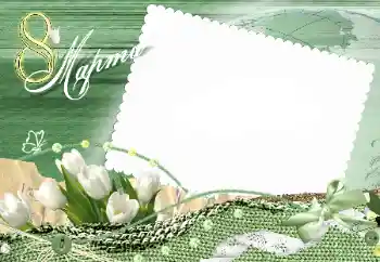 Photo effect from category Women's Day cards № 112801. An inscription on the frame: Women's Day