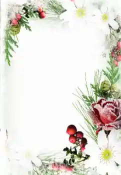Photo effect from category Women's Day cards № 131144. An inscription on the frame: Happy Women's Day