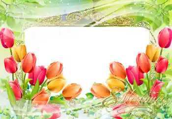 Photo effect from category Women's Day cards № 38595. An inscription on the frame: Women's Day Photo effect from category Women's Day cards № 38595. An inscription on the frame: Women's Day
