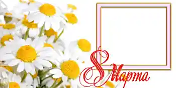 Photo effect from category Women's Day cards № 42731. An inscription on the frame: Women's Day Photo effect from category Women's Day cards № 42731. An inscription on the frame: Women's Day