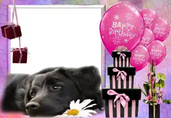 Photo effect from category Birthday cards № 116033. An inscription on the frame: Happy Birthday! Photo effect from category Birthday cards № 116033. An inscription on the frame: Happy Birthday!