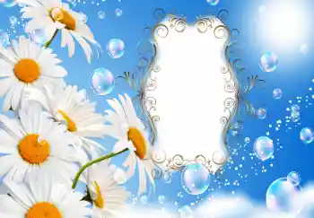 Photo effect from category Birthday cards № 130001. An inscription on the frame: Happy anniversary! Photo effect from category Birthday cards № 130001. An inscription on the frame: Happy anniversary!