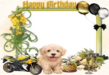 Photo effect from category Birthday cards № 161943. An inscription on the frame: Happy Birthday! Photo effect from category Birthday cards № 161943. An inscription on the frame: Happy Birthday!