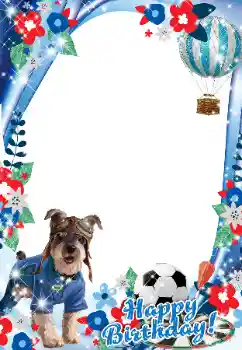 Photo effect from category Birthday cards № 170513. An inscription on the frame: Happy Birthday!
