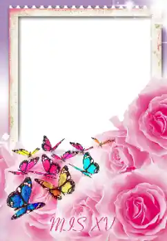 Photo effect from category Birthday cards № 188107. An inscription on the frame: Happy Birthday! Photo effect from category Birthday cards № 188107. An inscription on the frame: Happy Birthday!
