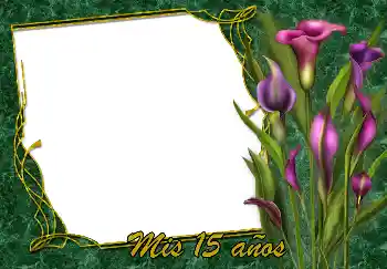 Photo effect from category Birthday cards № 188119. An inscription on the frame: Happy Birthday! Photo effect from category Birthday cards № 188119. An inscription on the frame: Happy Birthday!