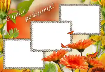 Photo effect from category Birthday cards № 192843. An inscription on the frame: Happy Birthday!