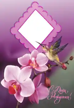 Photo effect from category Birthday cards № 194069. An inscription on the frame: Happy Birthday!